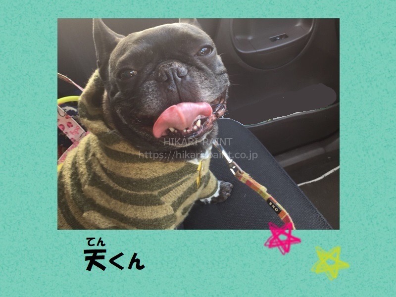愛犬家の皆様へお知らせでーす!!