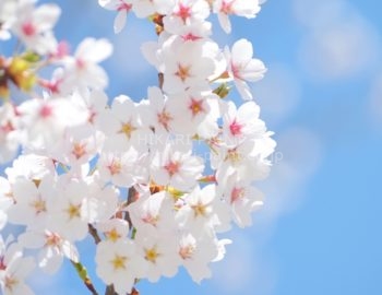 2019年4月のスタートです!!