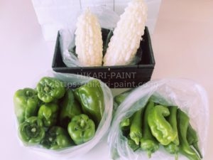 お客様から頂きました(^^)/
