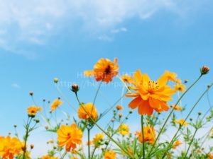まさか、こんな記念日があるなんて?!