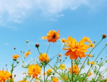 まさか、こんな記念日があるなんて?!
