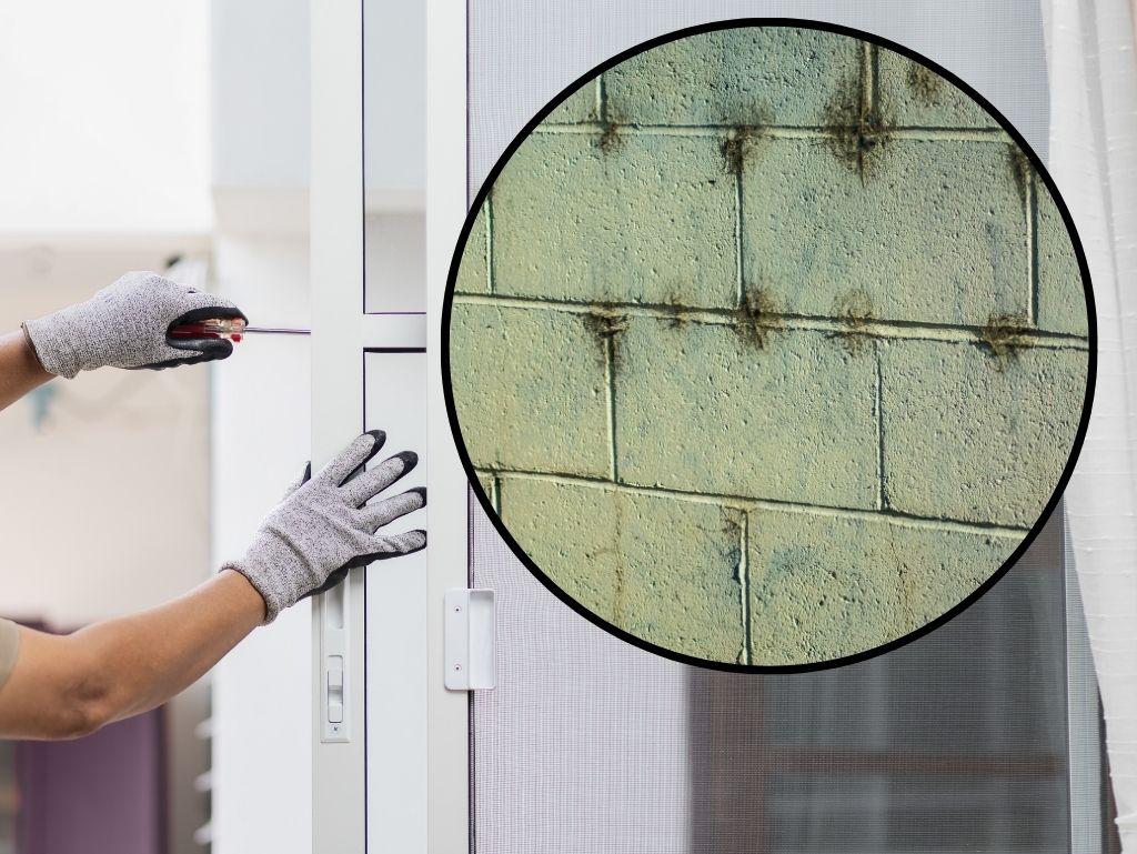 部分補修のリスクと“根本対策”の考え方を知っておこう！全面改修した方が良いパターンとは？