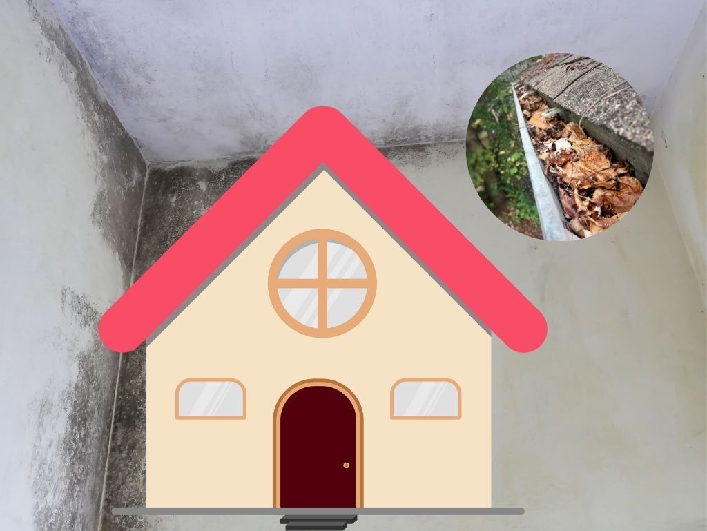 雨樋が詰まると何が起きるのか