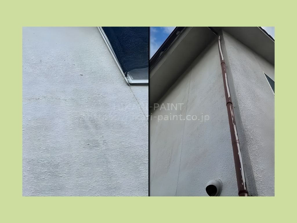 カビやコケの発生