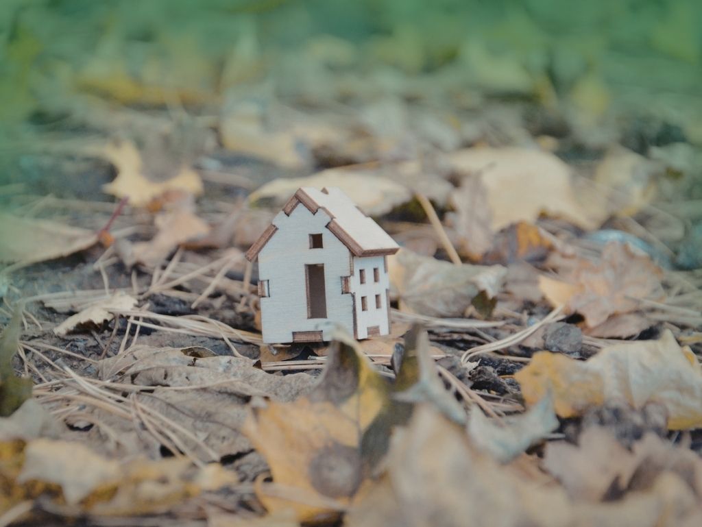 火災保険と落ち葉詰まりの予防策